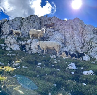 Laura Niepold Mittenwalder Klettersteig