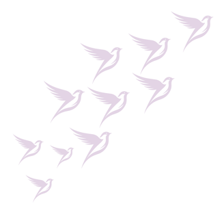 its group bird which represent brand udaan advertising agency for growth