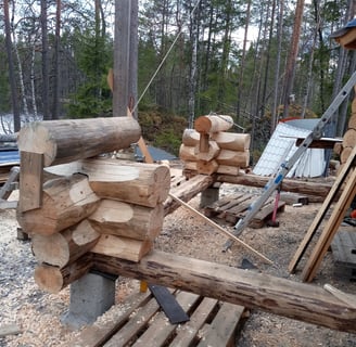 hirsityöt leppävirta