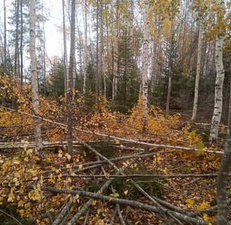 ennakkoraivaus varkaus leppävirta