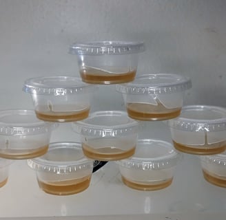 How to make ketchup cup agar for mycology