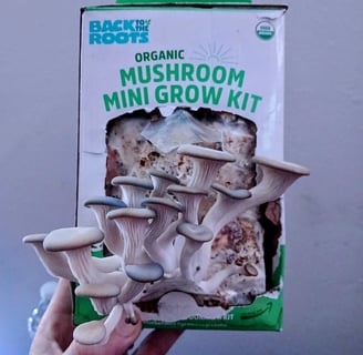 Back To The Roots mushroom grow kit review