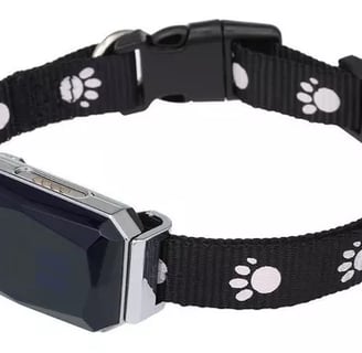 COLEIRA COM GPS PARA PETS