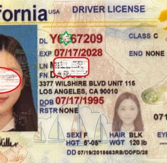 Buy Scannable Fake ID Online