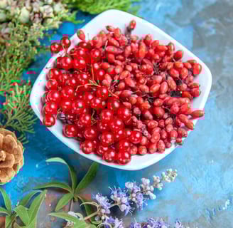 Berberine is a compound found in various plants, including several species of the Berberis genus. 
