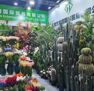 a variety of cactus plants and flowers in a room