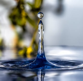 sage-wisdom-water-drop-understanding