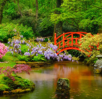 tao-te-ching-book-wisdom-knowledge-understanding