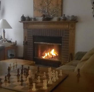 wood burning fireplace