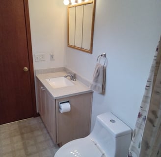 2nd bathroom vanity