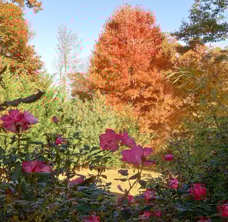 Colorful fall setting with trees and flowers