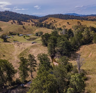 Dragonflybrogo House Creek View