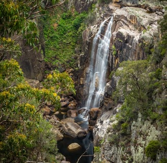Activities available around Sapphire Coast