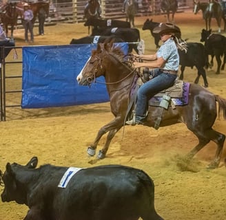Team penning