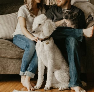 a pet with family image