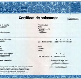 The Importance of a Birth Certificate and Why You Need a Certified Translation