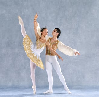 a couple of dancers performing in a ballet pose
