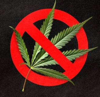 A Hemp plant under a banned icon
