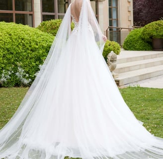 mariée portant une robe prinesse
