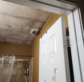 Mold growth in bathroom