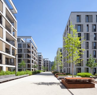 Image of a Real Estate Development