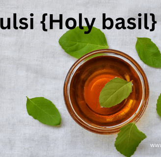  Tulsi {Holy Basil} 