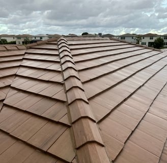 roof softwashing services fort lauderdale by psi power washing
