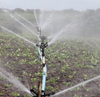 green innovation