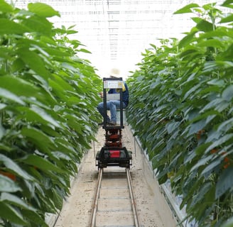 climate smart farming
