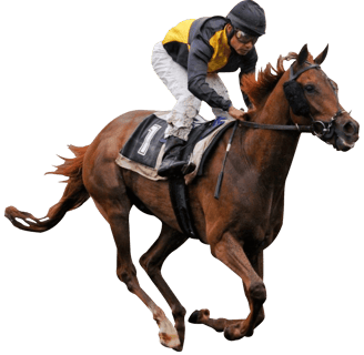 Reddy Anna Horse Riding