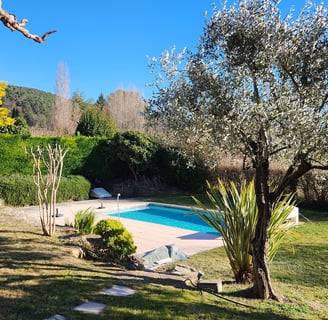 jardin et piscine