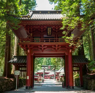 Japanese temple gate Forest Nikko