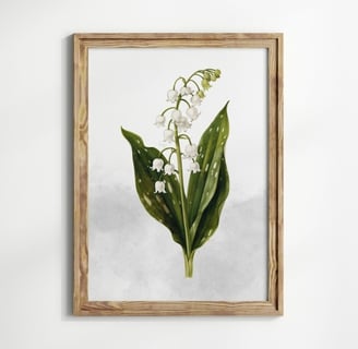 muguet