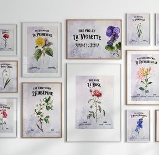galerie de tableaux avec des fleurs de naissance