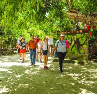 Gumbalimba Park