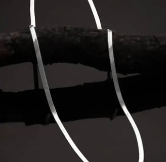 a silver necklace with a snake skin chain and a silver chain