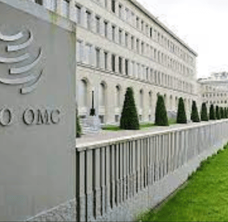 The WTO at a Crossroads: Navigating Trade Disputes, Protectionism, and the Path to Reform