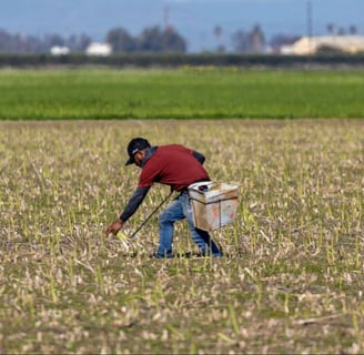 When Chinese Manufacturing Meets Small Town USA: A Tale of Jobs, Fears, and Democracy