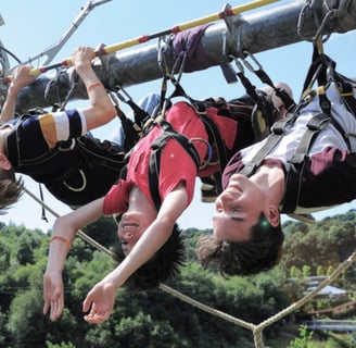 Unleash Your Thrill-Seeker Spirit: The Best Adventure Parks in the UK Beyond Hangloose