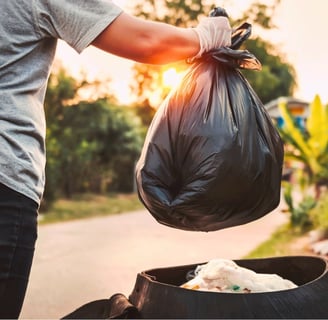 Évacuation des déchets pour les professionnels et les entreprises
