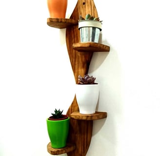 étagère bois pour cactus