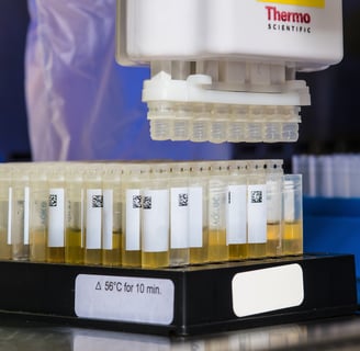 Malta drug test urine test