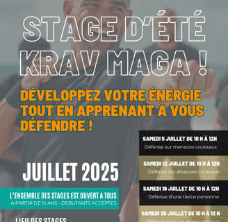 Stage de krav maga d'été 2025 