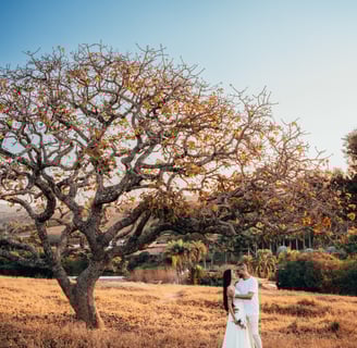 Fotografo de casamento BH