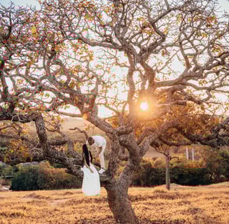 Fotografo de casamento BH
