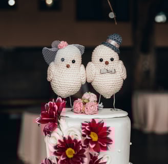 Fotografo de casamento BH