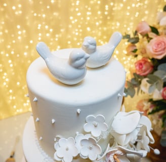 Fotografo de casamento BH