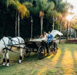 Fotografo de casamento BH