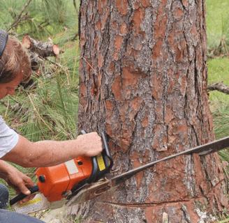 a man is using a chainsaw to cut a tree