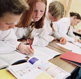 Children doing classroom translation